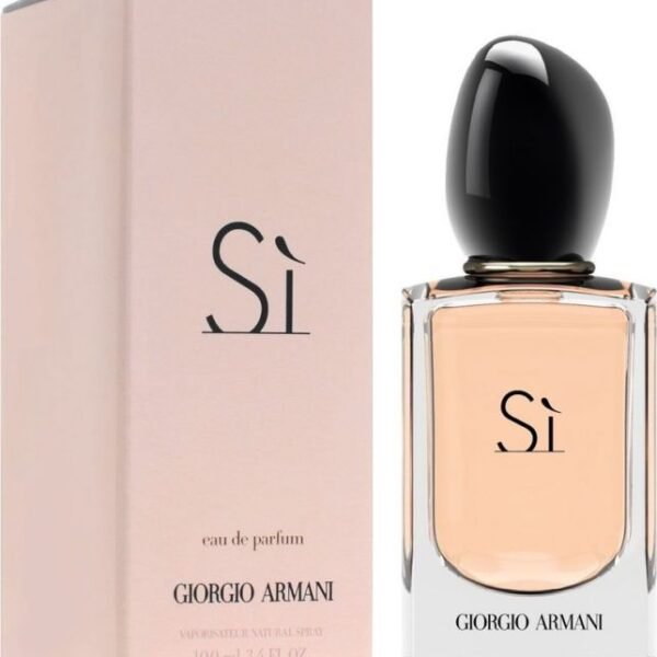 GIORGIO ARMANI Giorgio Armani Si Intense EDP 100ML – Women in Egypt