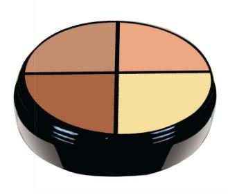 4 Color Concealer AC001