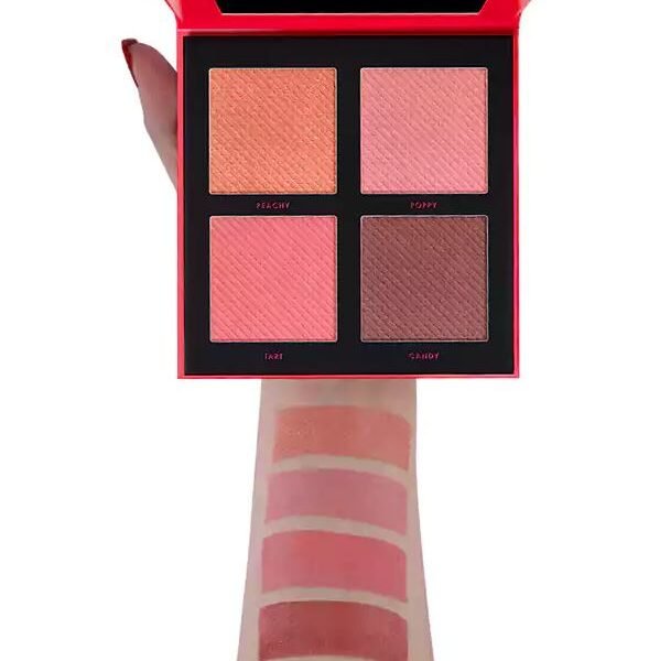 Blush Palette DGB002