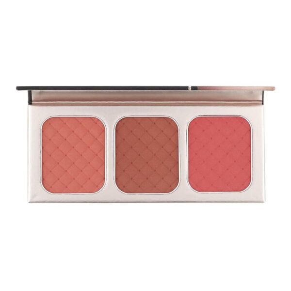 Blush Go Palette NTE001