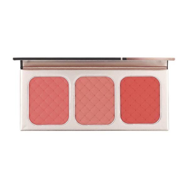 Blush Go Palette NTE003