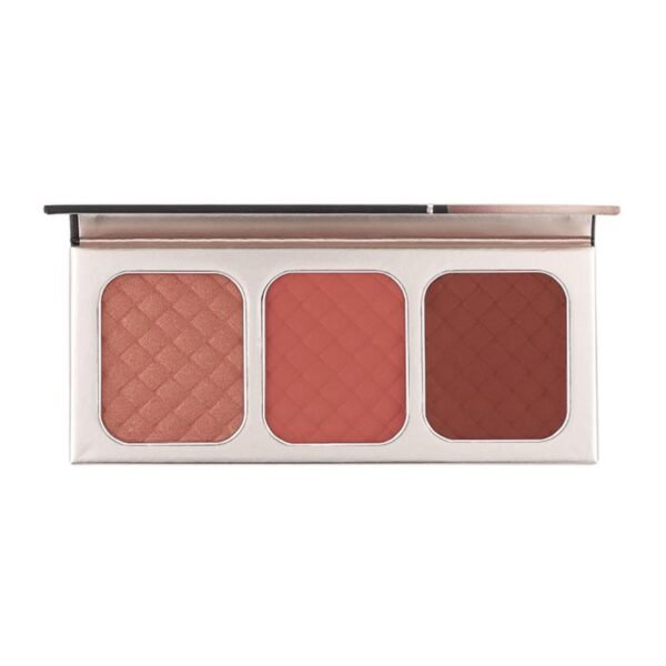 Blush Go Palette NTE005