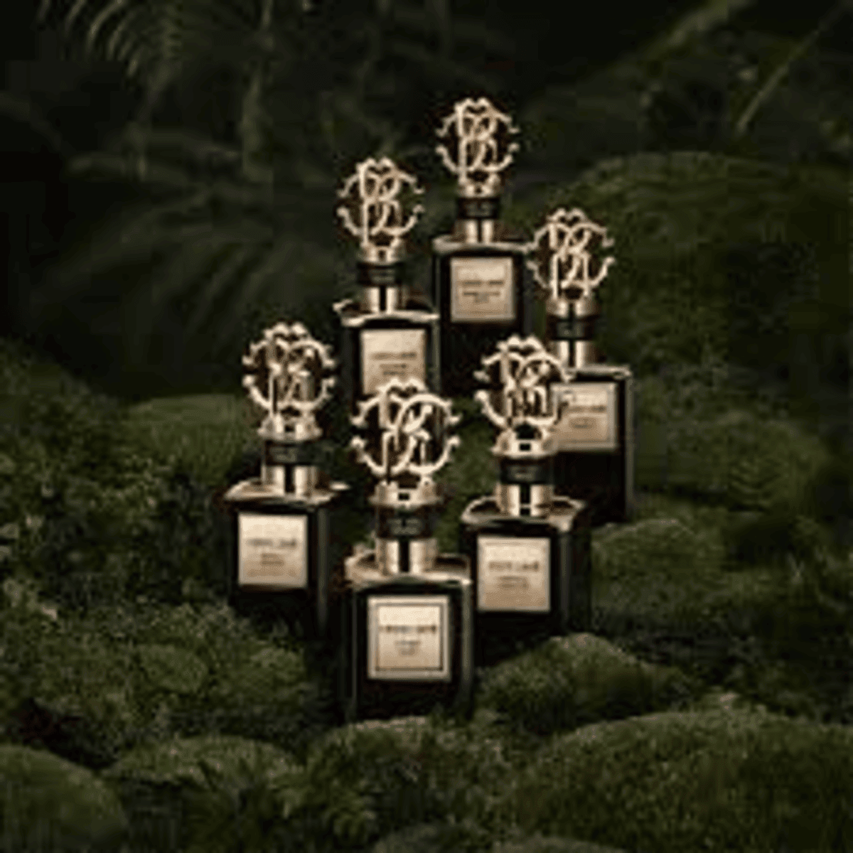 Gold Splendid Vanilla Roberto Cavalli Gold Splendid Vanilla – authentic in Egypt
